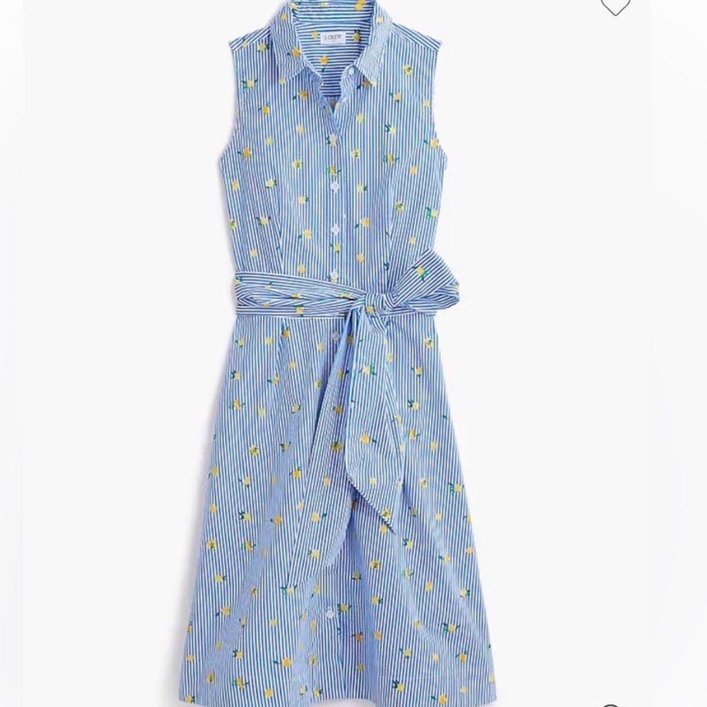 J. Crew Factory Blue Stripe Lemon-Print Sleeveless Shirtdress size 10 NWOT